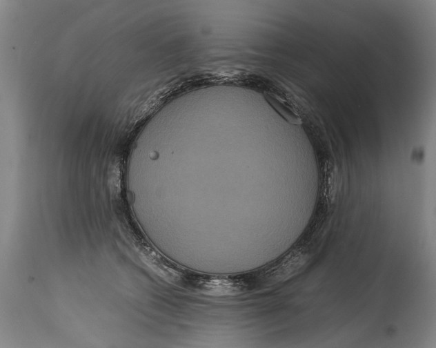X0000115120562200911171330