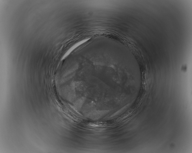 X0000115120563200911171330