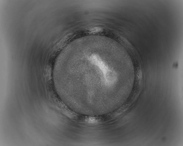X0000115120565200911171330
