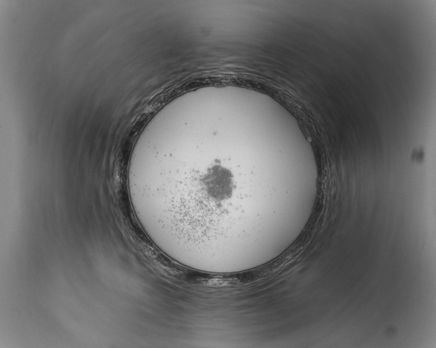 X0000115120566200911171330