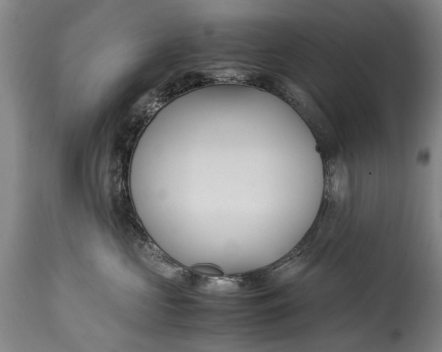 X0000115120573200911171331