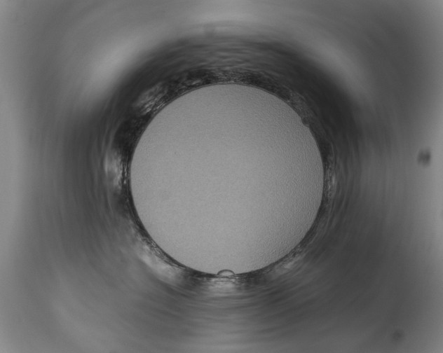 X0000115120574200911171331