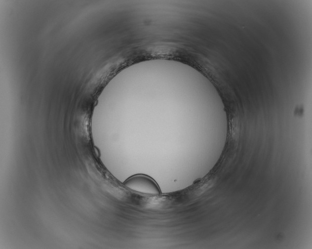X0000115120575200911171331
