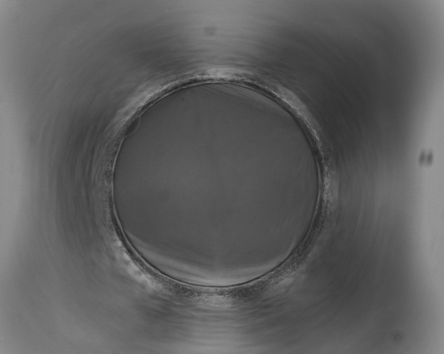 X0000115120577200911171330