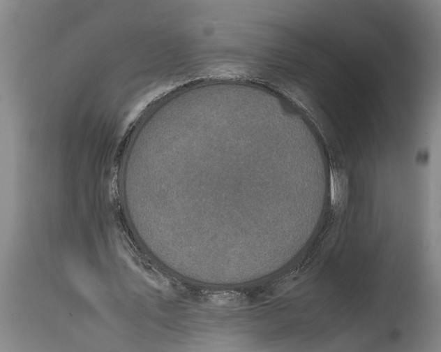 X0000115120579200911171330
