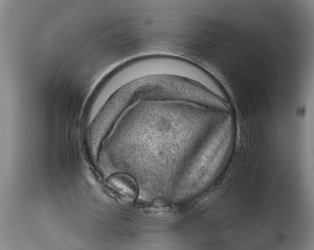 X0000115120580200911171330
