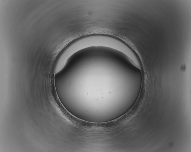 X0000115120581200911171330