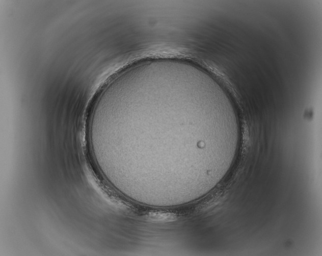 X0000115120582200911171330