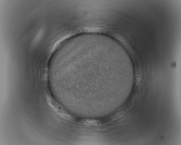 X0000115120583200911171330