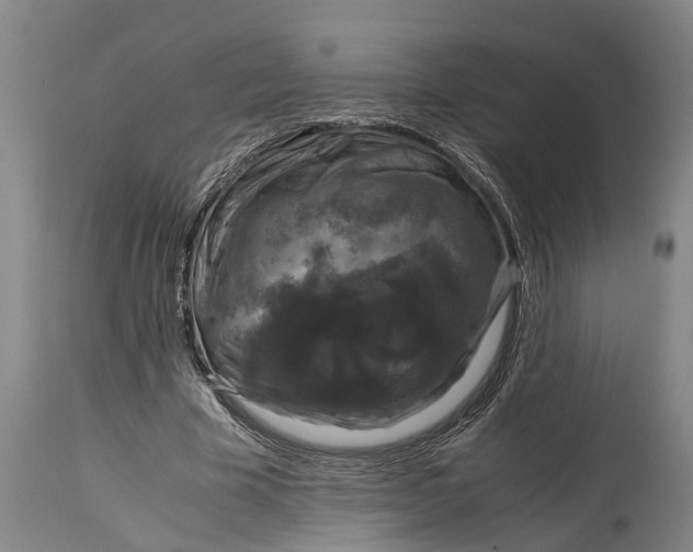 X0000115120585200911171330