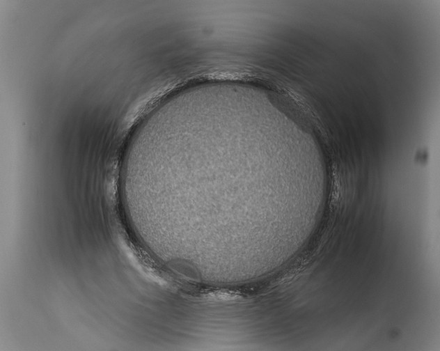 X0000115120586200911171330