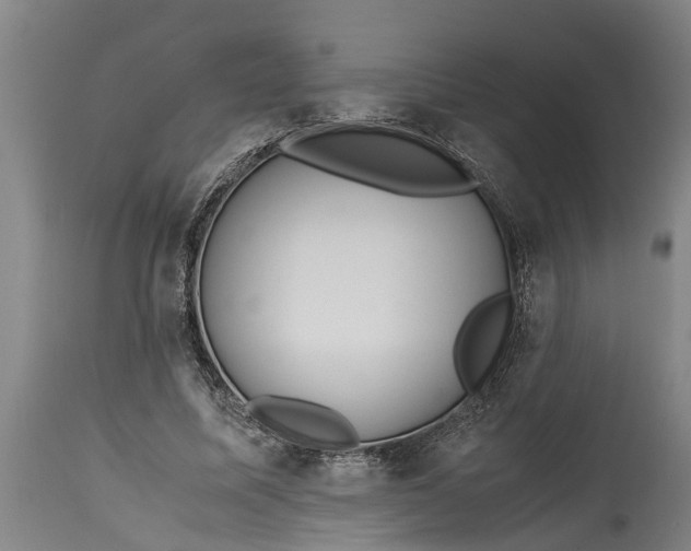X0000115120587200911171330