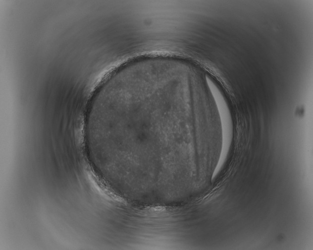 X0000115120588200911171330