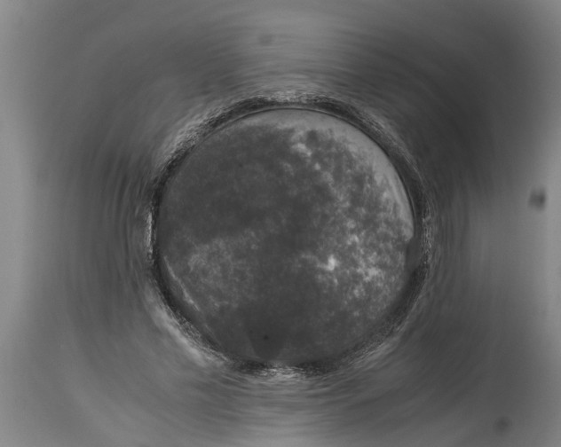 X0000115120589200911171330