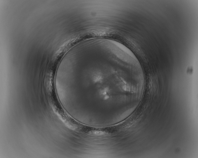 X0000115120590200911171330