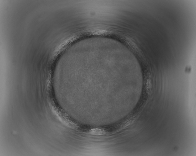 X0000115120591200911171330