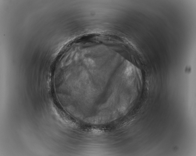 X0000115120592200911171330