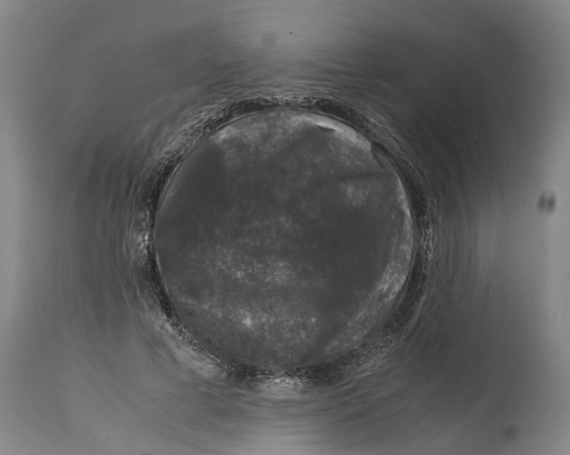 X0000115120593200911171330
