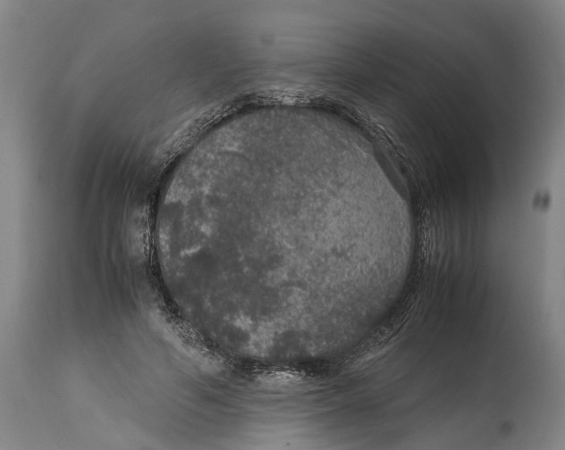 X0000115120594200911171330