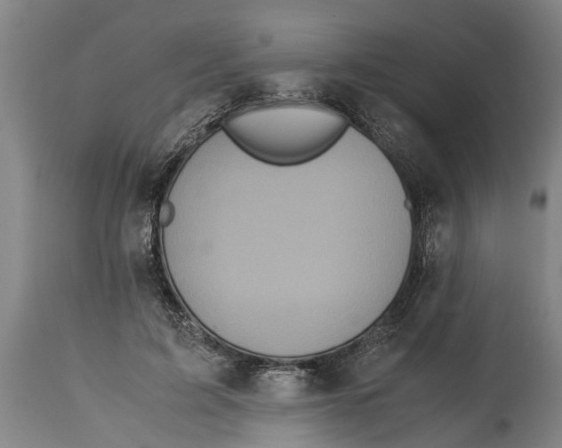 X0000115120595200911171330