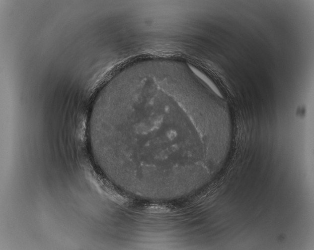 X0000115120596200911171329