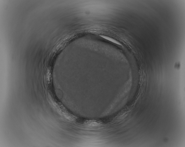 X0000115120597200911171329