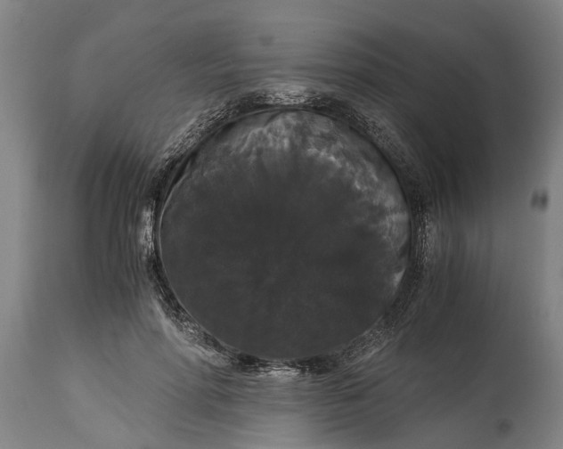 X0000115120598200911171329