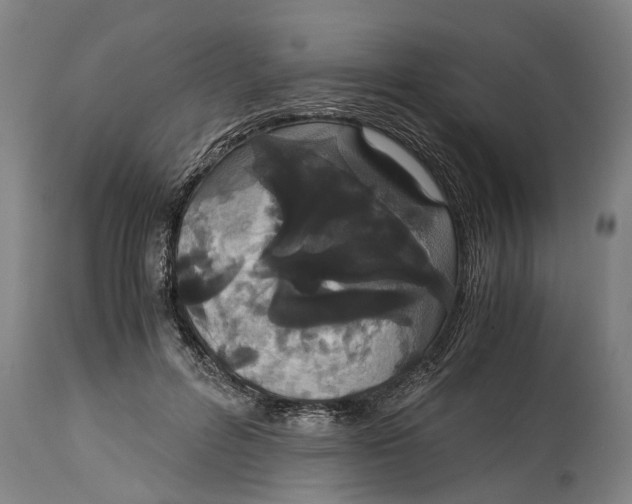 X0000115120600200911171329