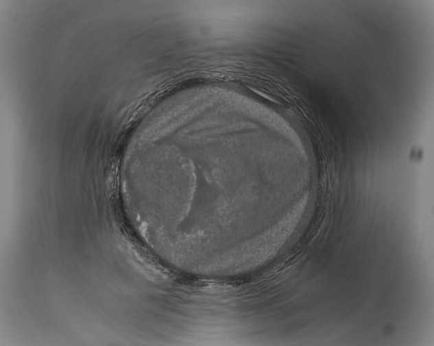 X0000115120601200911171329