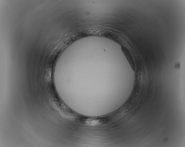 X0000115120602200911171329