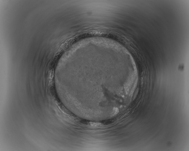 X0000115120605200911171329