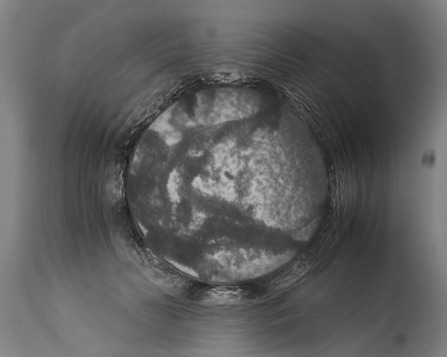 X0000115120606200911171329