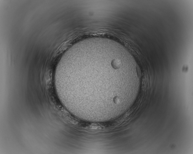 X0000115120608200911171329