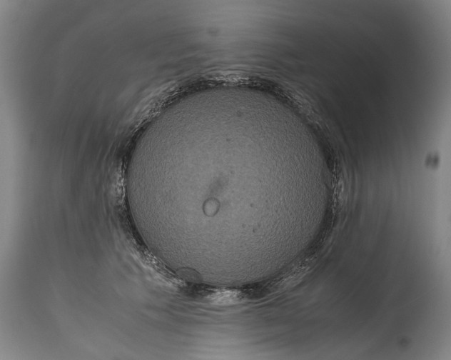 X0000115120609200911171329
