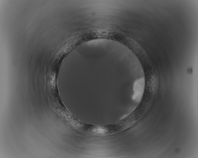 X0000115120610200911171329