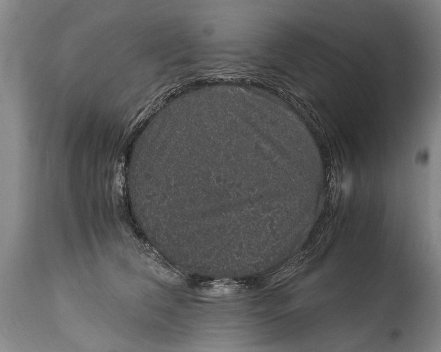 X0000115120612200911171329