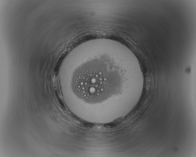 X0000115120613200911171329
