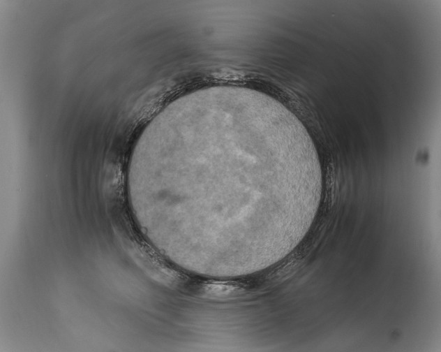 X0000115120614200911171329