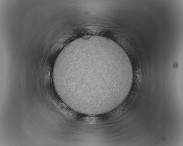 X0000115120615200911171329