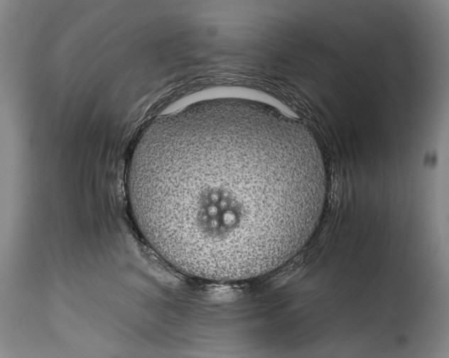 X0000115120616200911171329