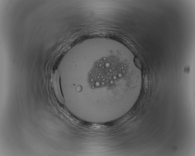 X0000115120617200911171329