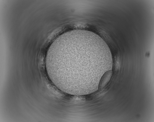 X0000115120619200911171329