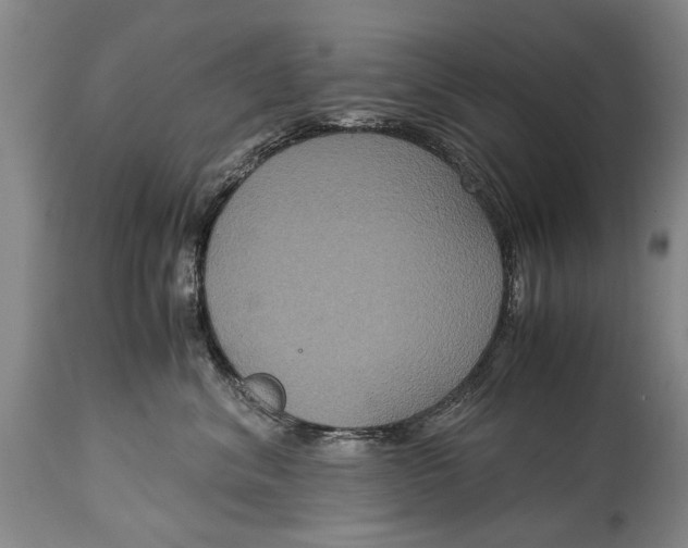 X0000115120620200911171329