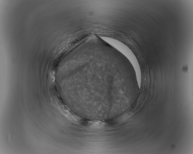 X0000115120621200911171329