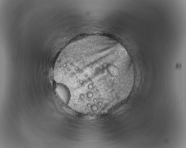 X0000115120624200911171329