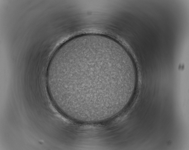 X0000115120625200911171328