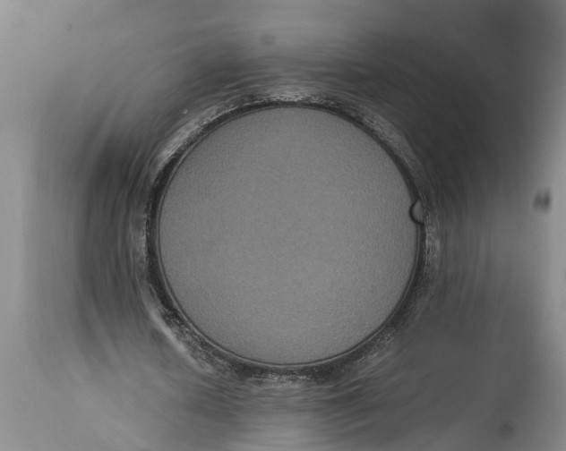 X0000115120626200911171328