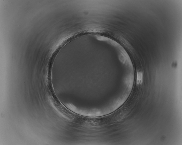 X0000115120627200911171328