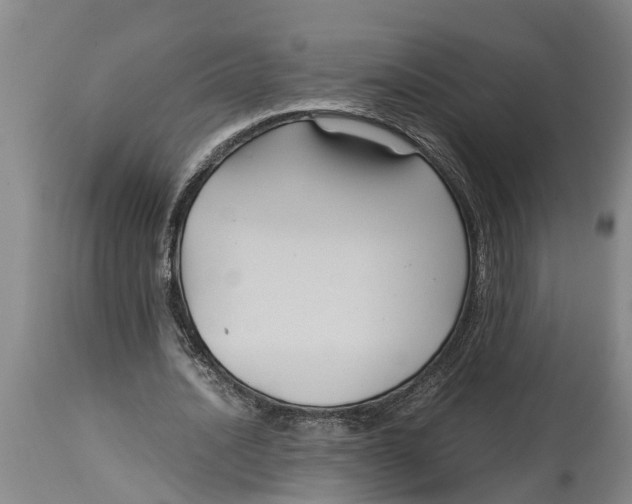 X0000115120628200911171328