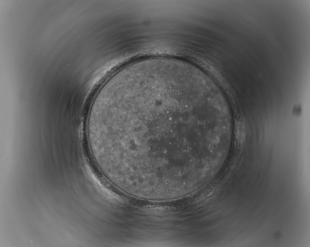 X0000115120629200911171328